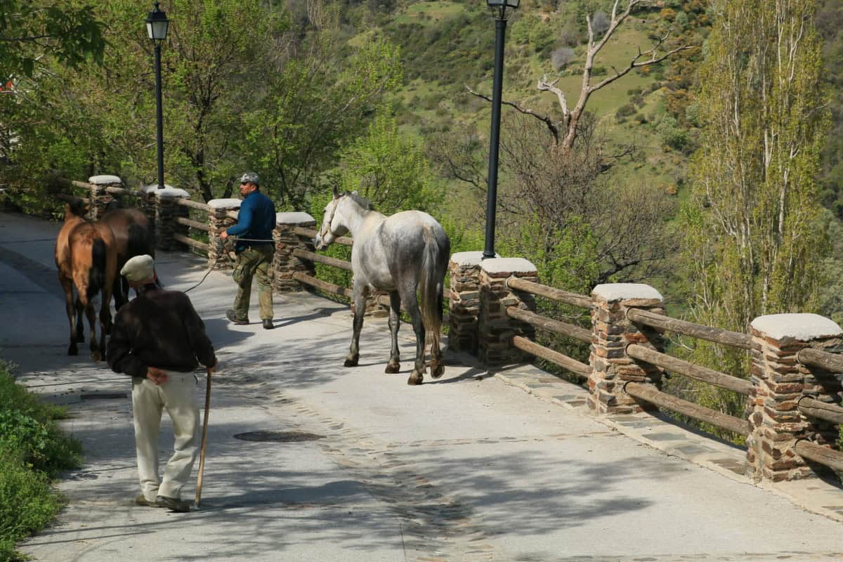 Wandelen In De Alpujarras Wandelmagazine