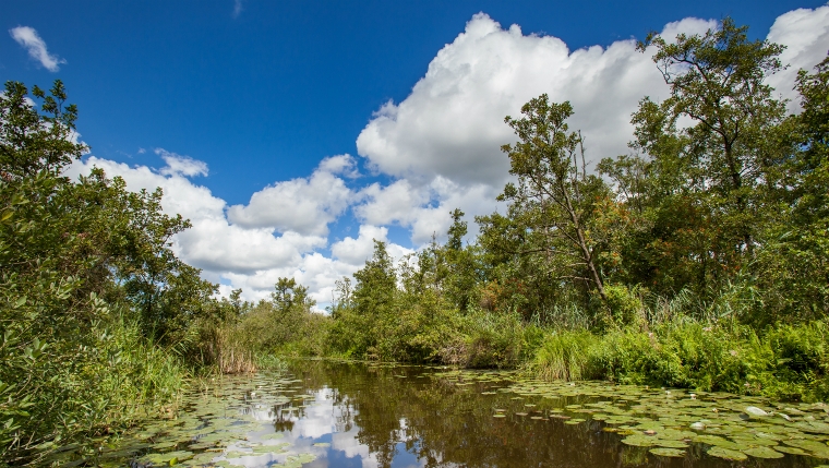 Wat Is Het Mooiste Natuurgebied Van Nederland