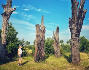 wandeling in Ohé en Laak