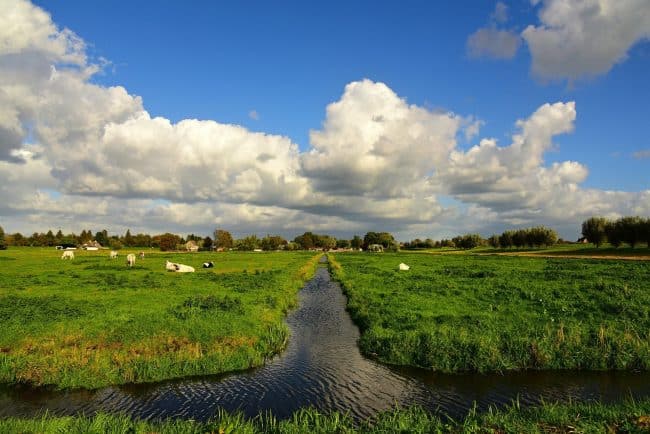 Dit Zijn De 5 Mooiste Wandelingen Van Het Groene Hart