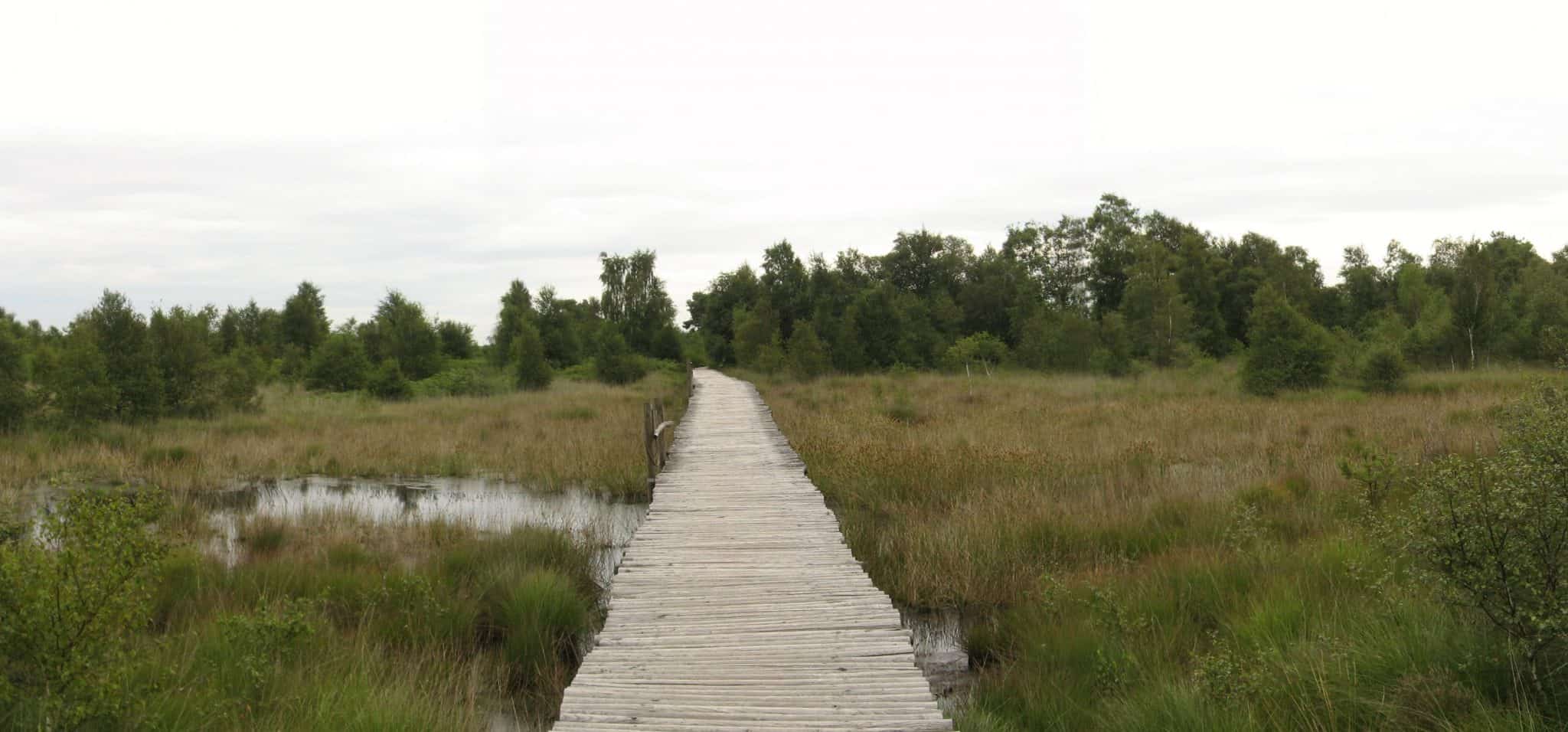 Dit Zijn De Mooiste Wandelroutes In De Peel